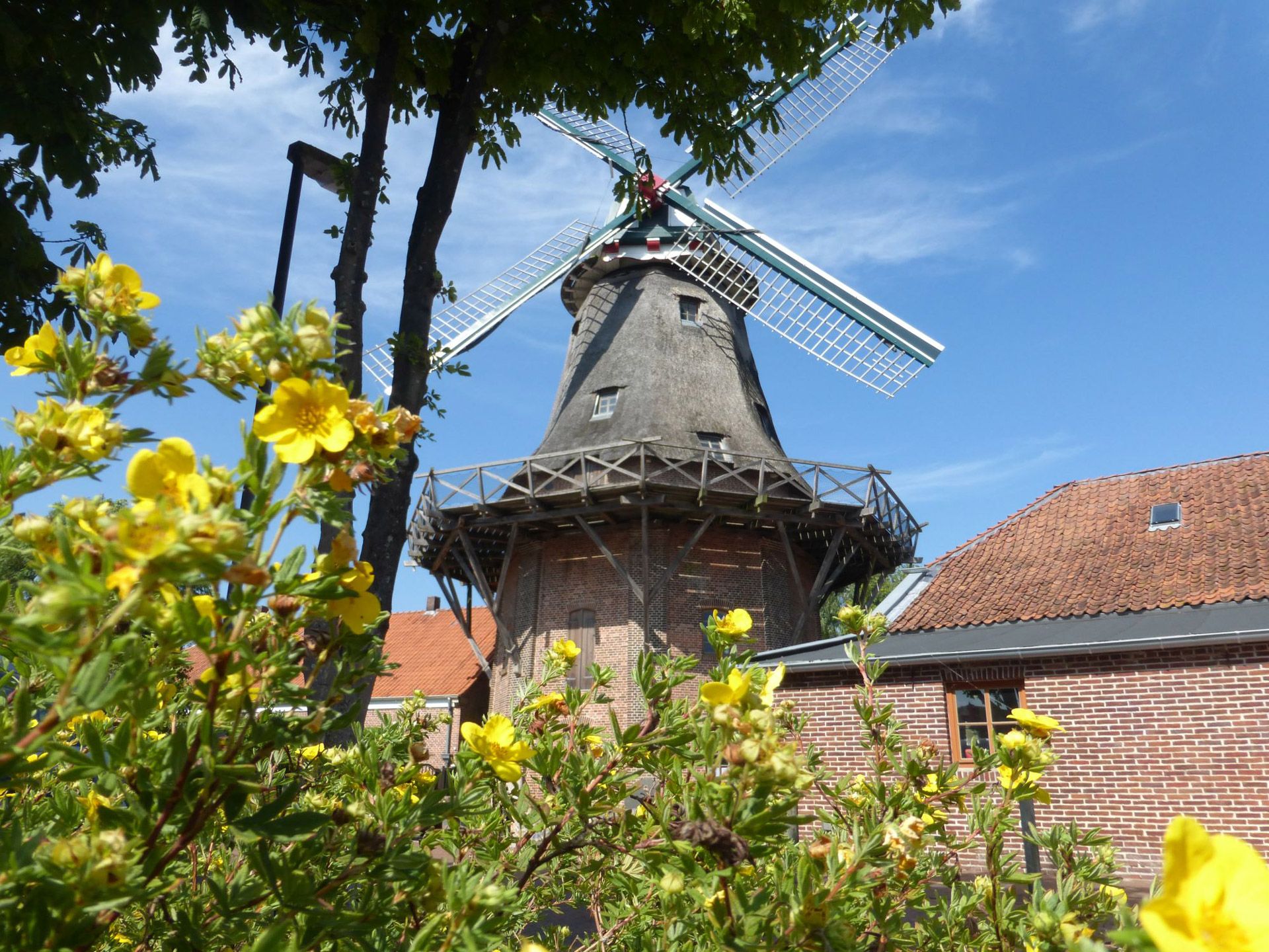 Schlachtmühle Jever