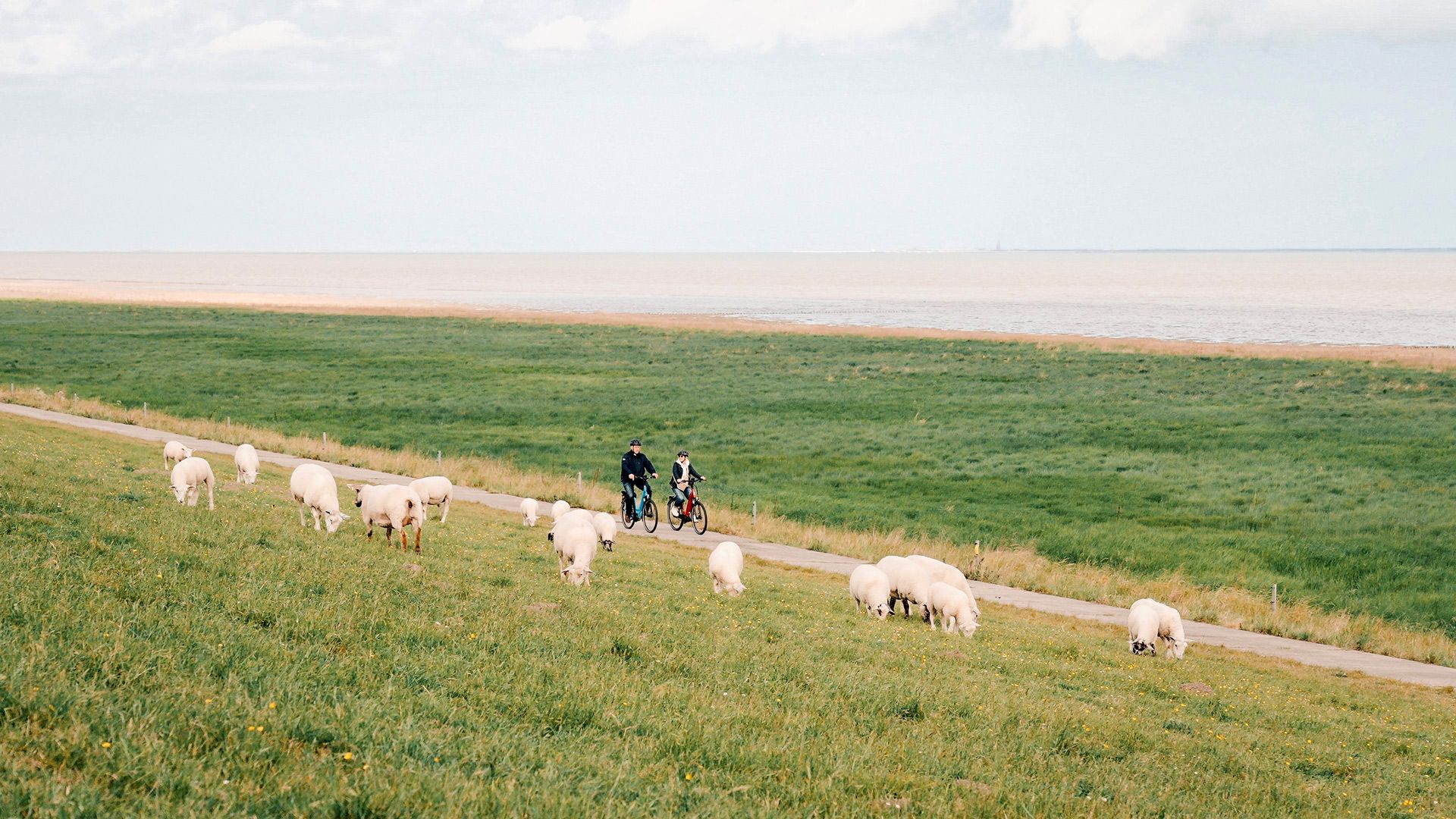Radfahren im Wangerland