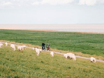 Radfahren im Wangerland