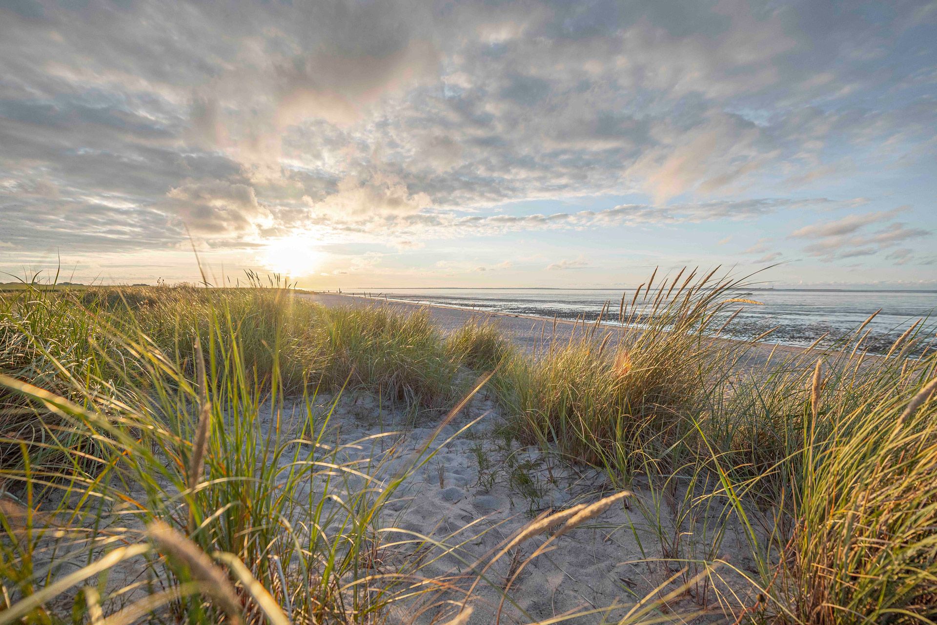 Strandurlaub im Wangerland